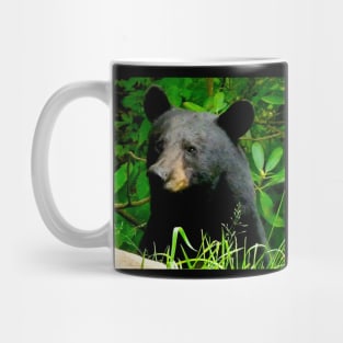 Blue Ridge Mountains Wild Black Bear Mug